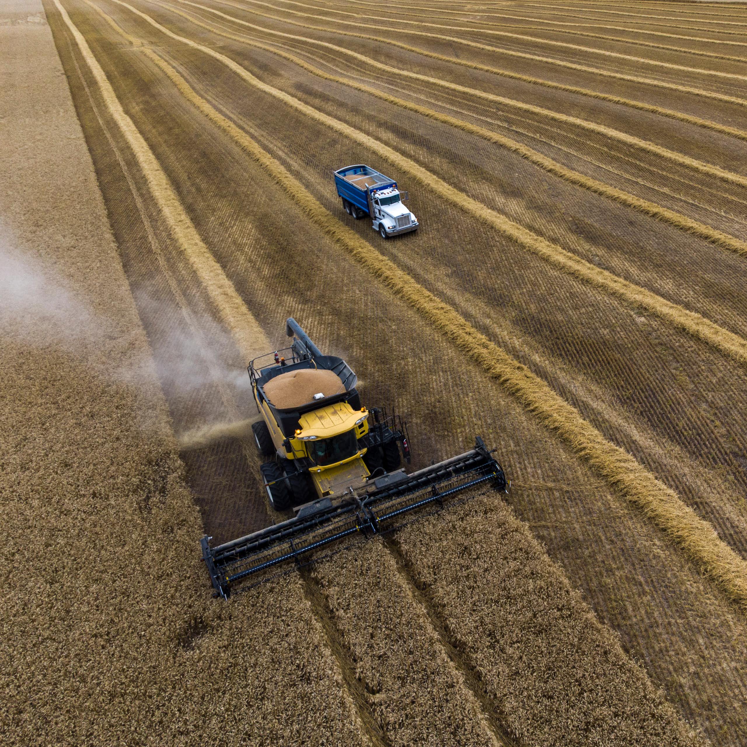 Farm equipment seen driving through a field of crops.