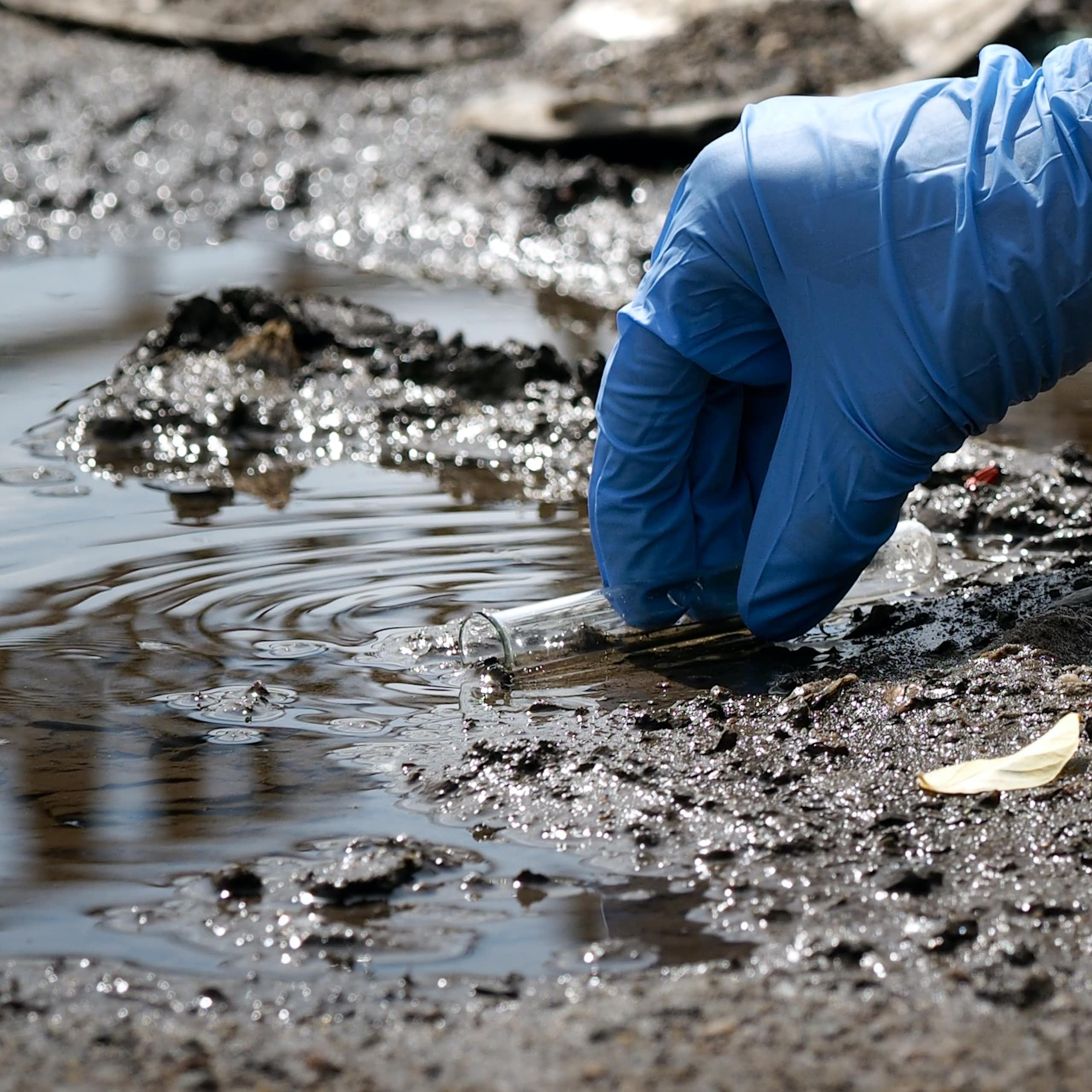 a hand with a blue glove holds a test tube just above a puddle of muddy water