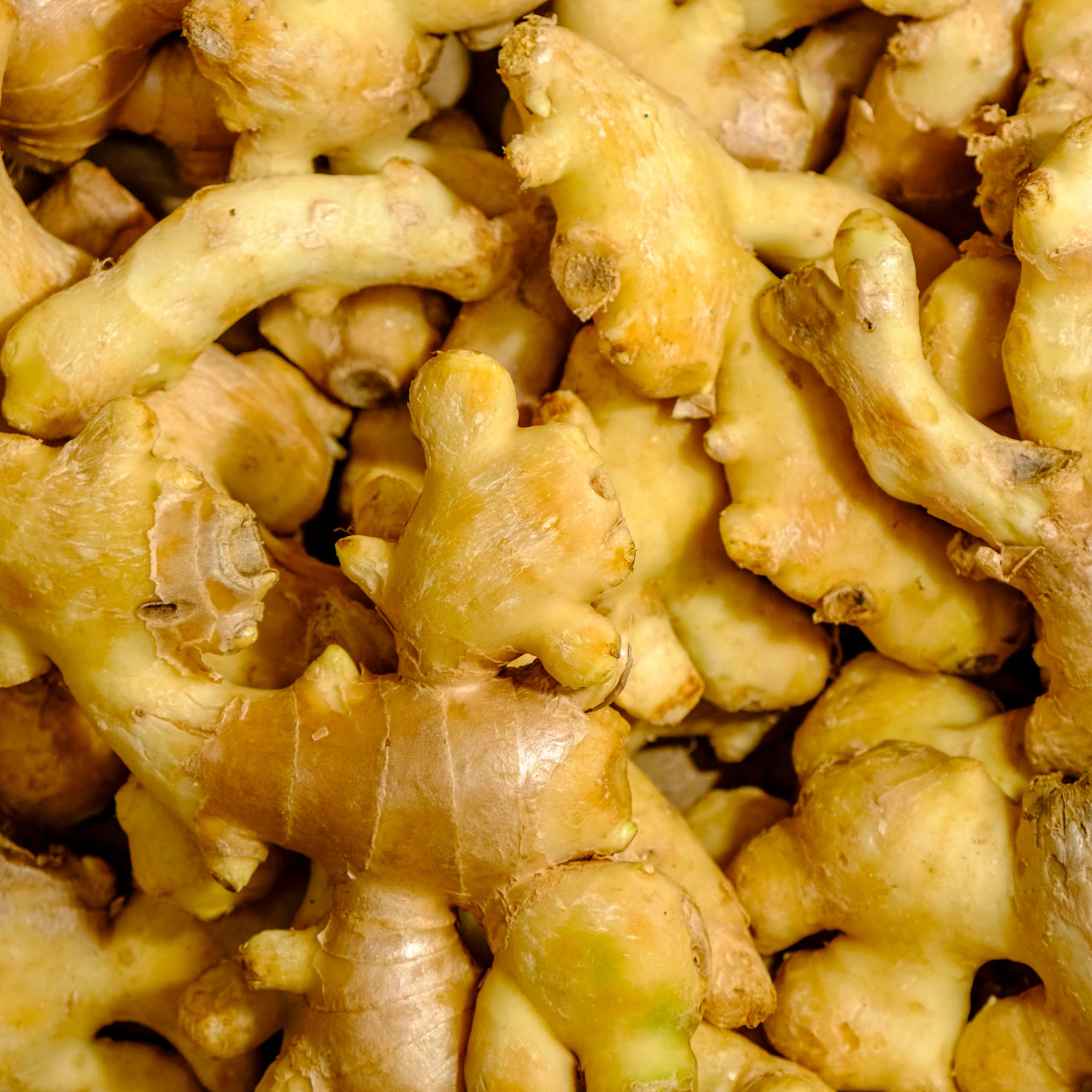 Ginger roots on display